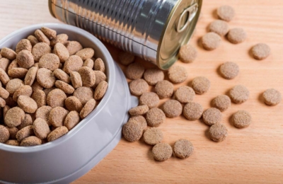 PFAS in imballaggi di alimenti per animali domestici