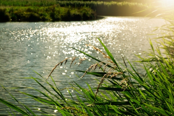 Fiume